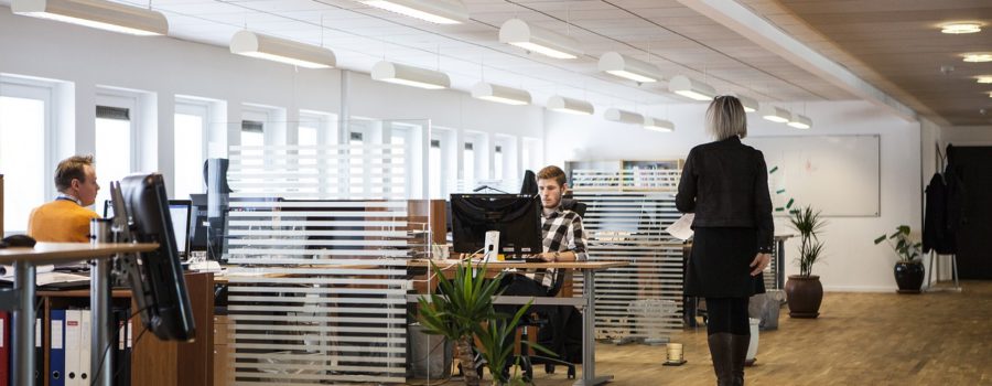 Iluminação correta no escritório aumenta produtividade e sensação de bem-estar